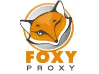 Настройка прокси в Foxy Proxy в браузере Google Chrome