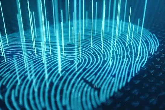 Анатомия цифрового следа: что скрывает и что не скрывает ваш IP-адрес