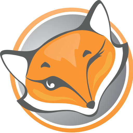 Настройка прокси в расширении Foxy Proxy в браузере Mozilla Firefox. Прокси для Foxy Proxy 
