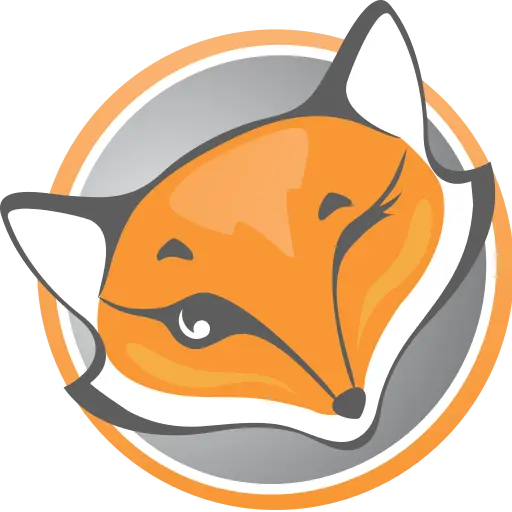 Настройка прокси в расширении Foxy Proxy в браузере Mozilla Firefox. Прокси для Foxy Proxy 